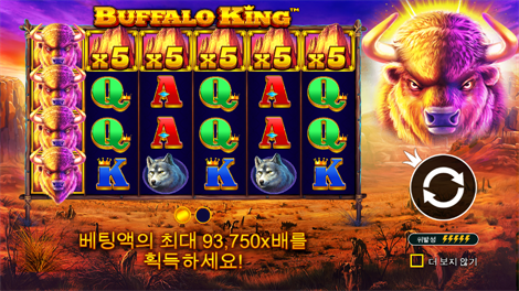 캐시 보난자