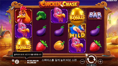 와일드 픽시스